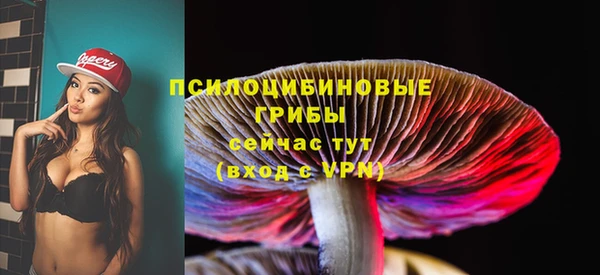 не бодяженный Алексин