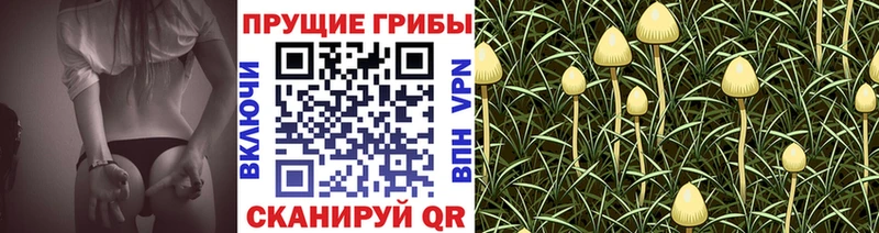 Галлюциногенные грибы MAGIC MUSHROOMS  Дегтярск 
